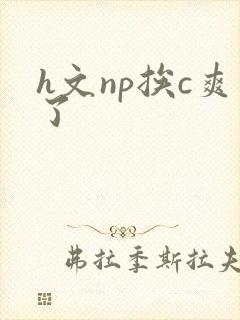 h文np挨c爽了