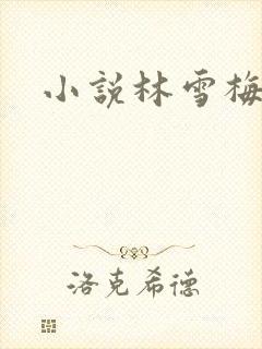 小说林雪梅