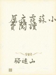 厉夜霆苏小汐免费阅读