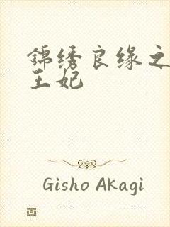 锦绣良缘之北地王妃