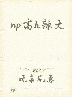 np高h辣文