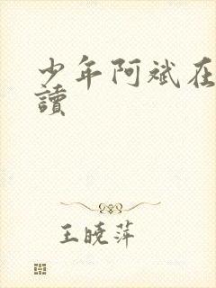 少年阿斌在线阅读