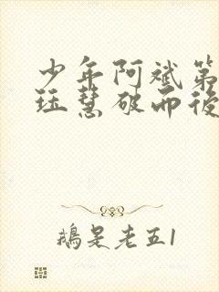 少年阿斌第二部珏慧破而后立