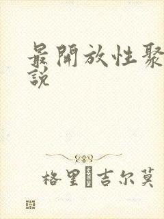 最开放性聚会小说