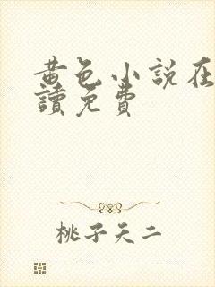 黄色小说在线阅读免费