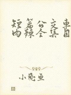 短篇公交车高h肉辣全集目录