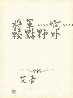 将军灬啊灬啊灬轻点野外