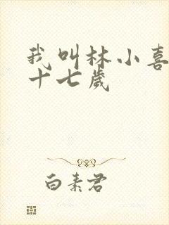我叫林小喜今年十七岁