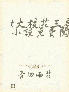 t大校花三部曲小说免费阅读全文