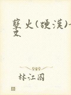 孽火(硬汉)今又