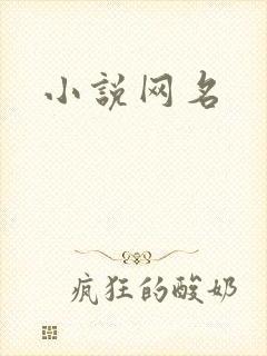 小说网名