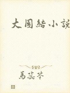 大团结小说全文