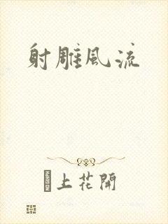 射雕风流