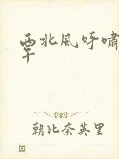 西北风呼啸的中午