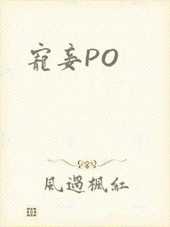 宠妾PO