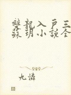 双龙入户三人行苏玥小说全文阅读
