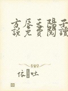 方辰天阳子的小说免费阅读