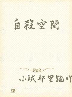 自杀空间