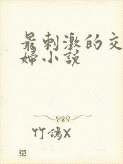 最刺激的交换夫妇小说