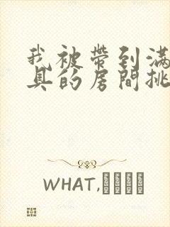 我被带到满是玩具的房间挑调作文