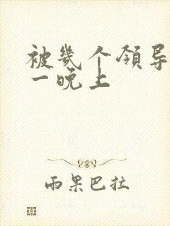 被几个领导玩弄一晚上