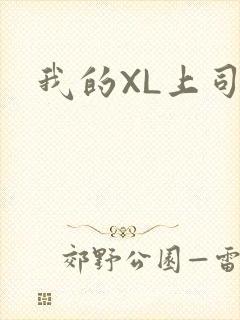 我的XL上司