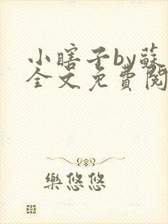 小瞎子by苏软全文免费阅读