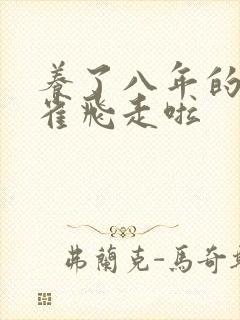 养了八年的金丝雀飞走啦