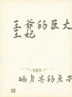 王爷的巨大进入王妃