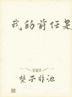 我的前任是极品