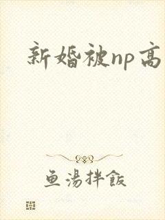 新婚被np高h