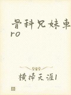 骨科兄妹车多pro