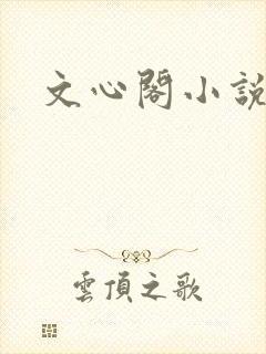 文心阁小说