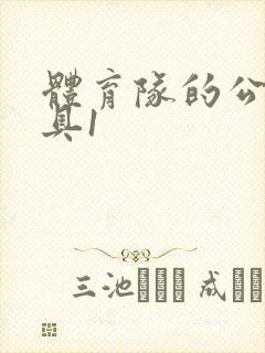 体育队的公用玩具1