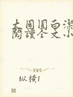 大团圆白洁免费阅读全文小说