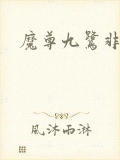魔尊九鹭非香