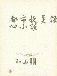 都市收美录宁素心小说