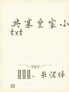 共享皇家小公主txt