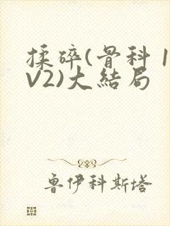 揉碎(骨科 1V2)大结局