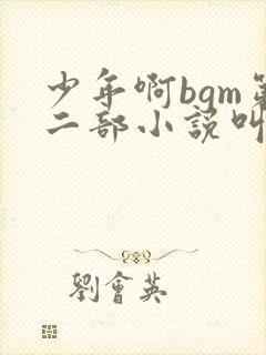少年啊bgm第二部小说叫什么