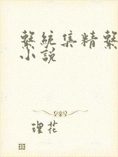 系统集精系统 小说