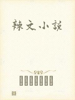 辣文小说