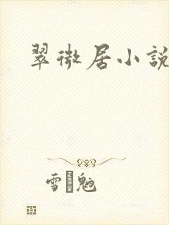 翠微居小说