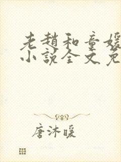 老赵和童媛媛的小说全文免费阅读