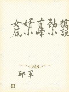 女婿有劲枪枪到底小峰小说