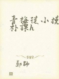 青梅从小摸到大补课h