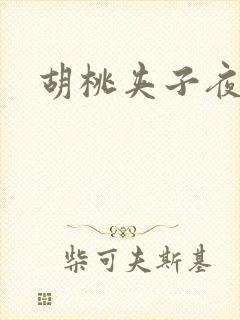 胡桃夹子夜未眠