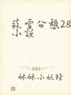 苏雪公憩28篇小说