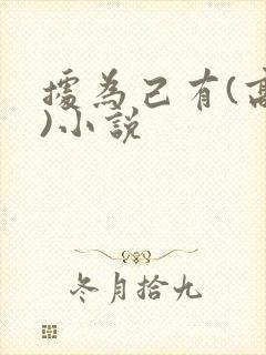 据为己有(高干)小说