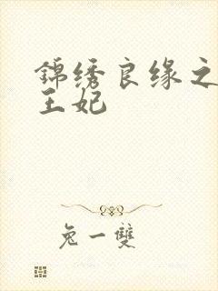 锦绣良缘之北地王妃